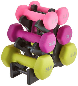 Amazon Basics 20-Pound Dumbbell Set with Stand, Silver Lettering